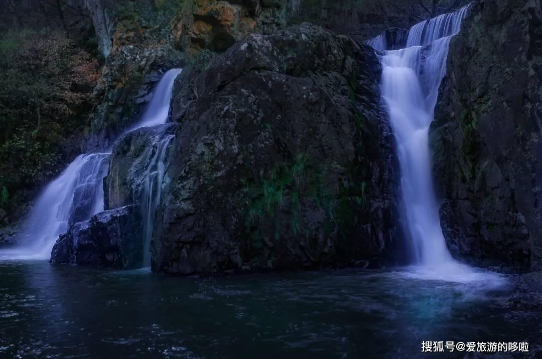 植物大战僵尸4