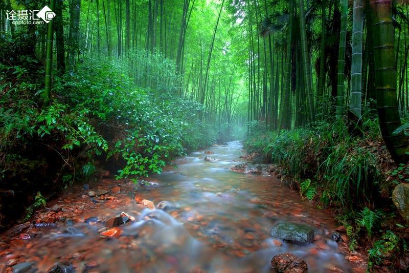 春节前关注三条主线