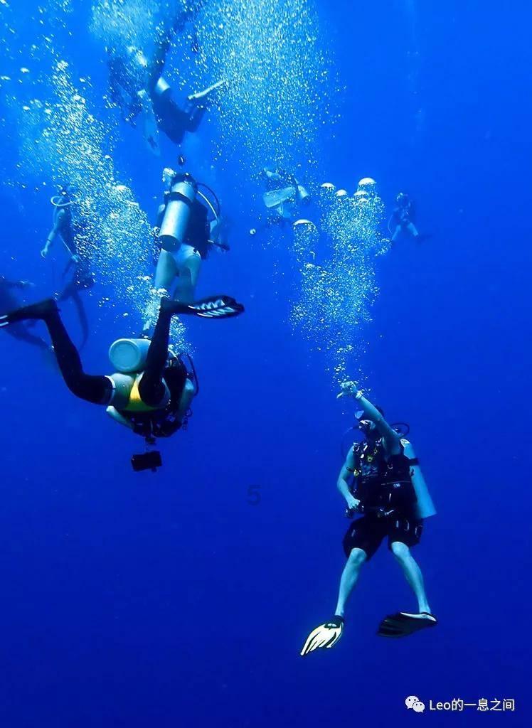 神秘的大海