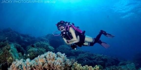 救援紫色生物