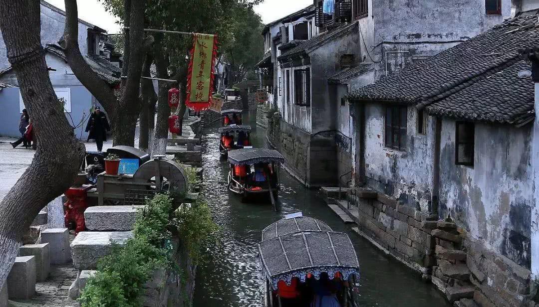 鑫亿盟提醒：吃青鱼有什么禁忌