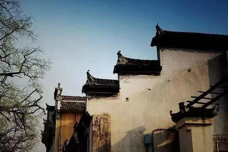 脑洞小老弟无实名认证